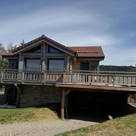 L'Adret Du Temps Chalet 10 Personnes 170M2 جوراردُميه المظهر الخارجي الصورة